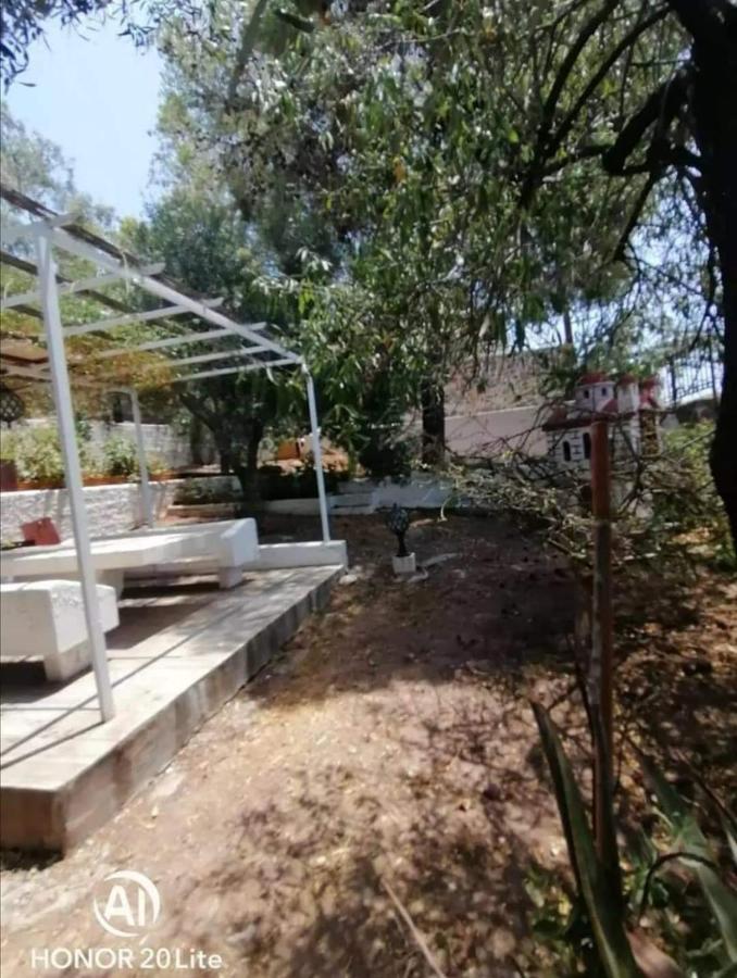 Αίγινα Εξοχική Κατοικία Eginitissa 외부 사진