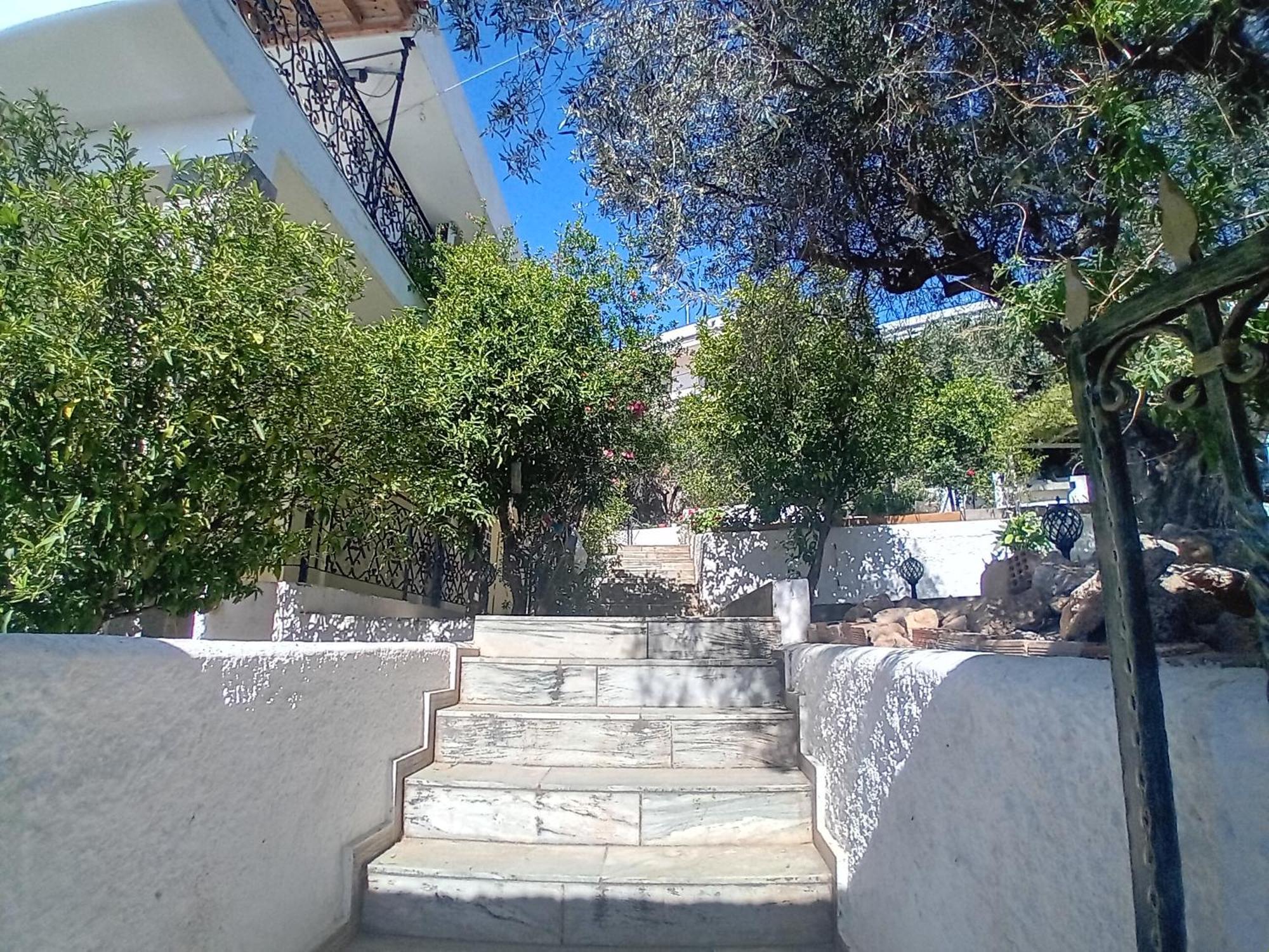 Αίγινα Εξοχική Κατοικία Eginitissa 외부 사진
